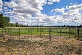 25271 Alfalfa Market Road - Photo 40