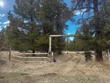 15676 River Drive - Photo 2