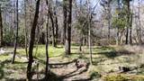 24524 Redwood Highway - Photo 32