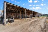 4886 Mint Lane - Photo 44
