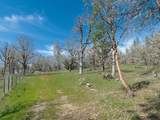 300 Colonial Drive - Photo 48
