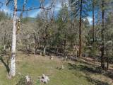 300 Colonial Drive - Photo 50