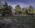 63421 Vogt Road - Photo 12