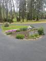 4728 Evans Creek Road - Photo 2