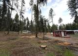 29511 Zollman Street - Photo 7