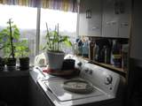 24086 Yellow Jacket Springs Road - Photo 31