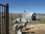 24086 Yellow Jacket Springs Road - Photo 9