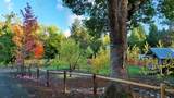 343 Rene Drive - Photo 126