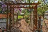 343 Rene Drive - Photo 61