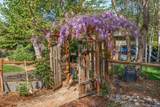 343 Rene Drive - Photo 62