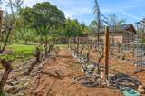 343 Rene Drive - Photo 65
