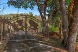 343 Rene Drive - Photo 72