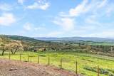 4002 Dry Creek Road - Photo 35