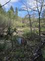 3760 Pleasant Creek Road - Photo 3