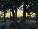 20784 Arago Circle - Photo 41