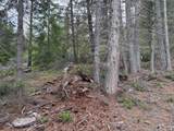 6 Royce Pine Road - Photo 5