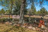 7950 Copley Road - Photo 34