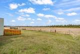51439 Morson Street - Photo 34