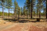 16611 Wilt Road - Photo 49