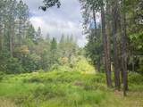 4196 Evans Creek Road - Photo 23