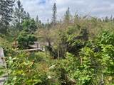 4196 Evans Creek Road - Photo 29