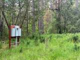 4196 Evans Creek Road - Photo 4