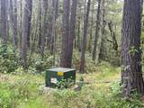 4196 Evans Creek Road - Photo 5