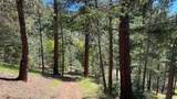 5225 Sterling Creek Road - Photo 148