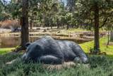 55162 Lazy River - Photo 43