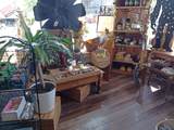 251 6th Street - Photo 31