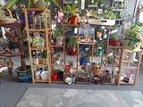 251 6th Street - Photo 40