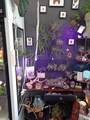 251 6th Street - Photo 41