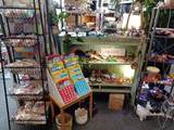 251 6th Street - Photo 43