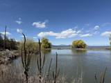 1662 Cove Point Road - Photo 85