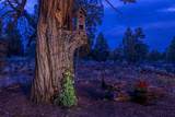 63170 Fremont Road - Photo 43