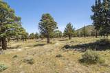 11164 Desert Sky Loop - Photo 11