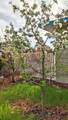 733 Turner Street - Photo 29