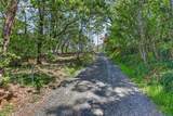 459 Savage Creek Road - Photo 57