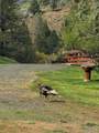20480 Hwy 395 N - Photo 45