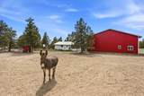 5372 Redondo Way - Photo 43