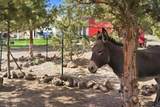 5372 Redondo Way - Photo 45