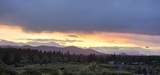 61311 Mcroberts Lane - Photo 42