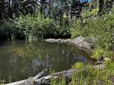  Upper Joe Creek Road - Photo 6
