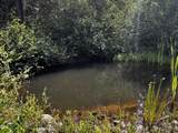  Upper Joe Creek Road - Photo 7