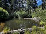  Upper Joe Creek Road - Photo 8