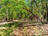0 Riverbanks Road - Photo 10