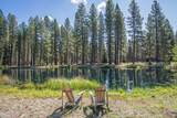 13375 Forest Service Road - Photo 29