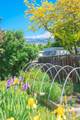 321 Clay Street - Photo 27