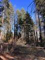 0 Rocky Point Road - Photo 14