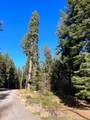 0 Rocky Point Road - Photo 9
